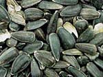 Sunflower Seed