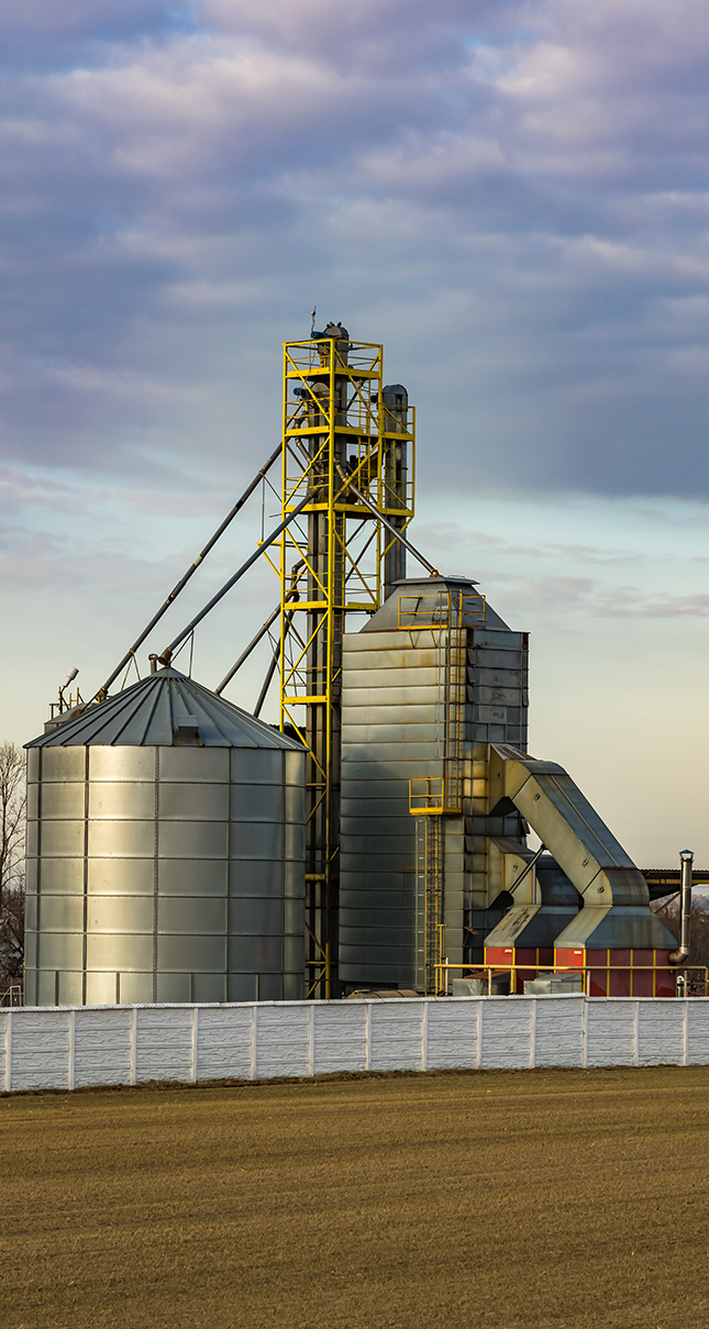 Grain Bin